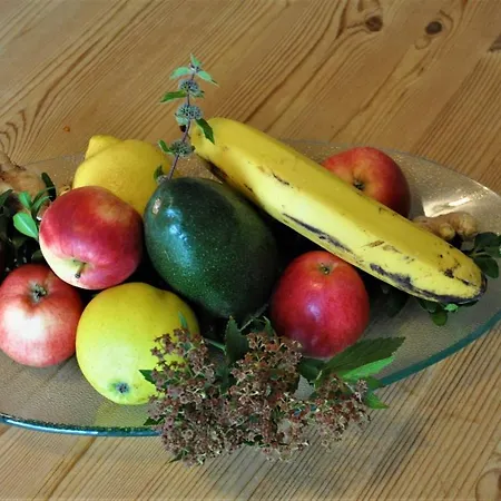 Appartement Vier Jahreszeiten Ladis